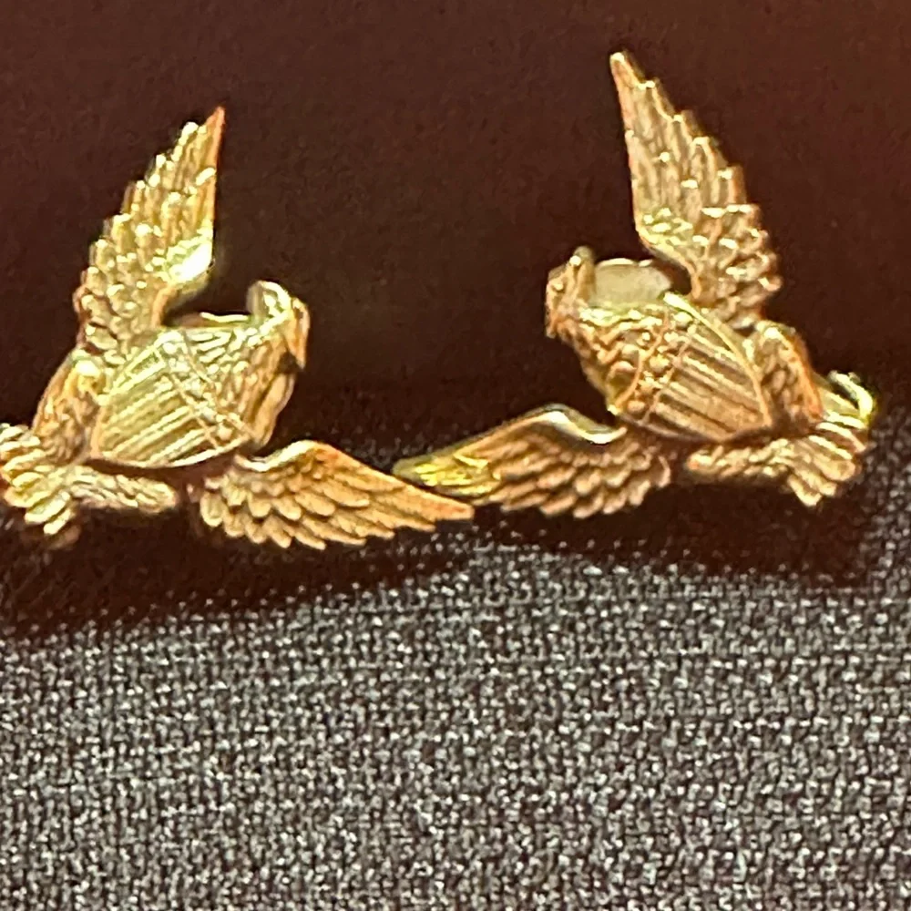 Eagle lover’s collection - Picture 14 of 16